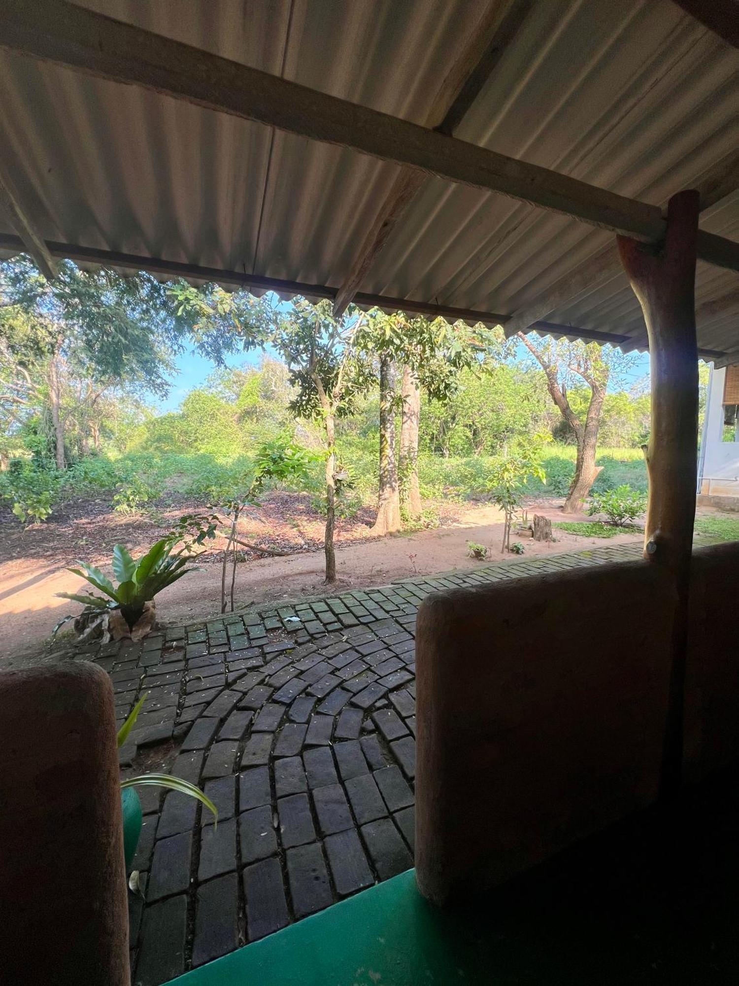 Tembo Cottage וילפאטו מראה חיצוני תמונה