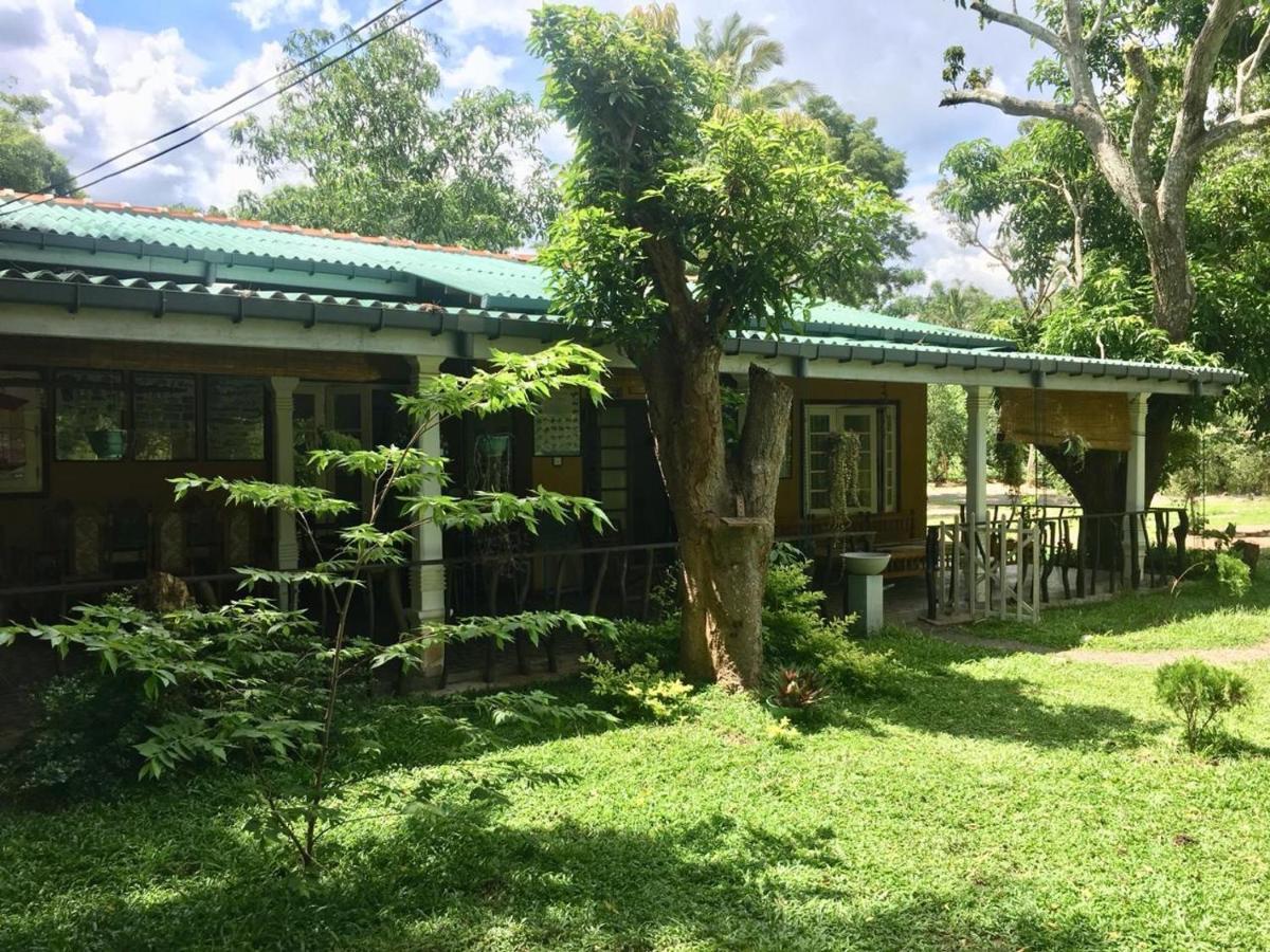 Tembo Cottage וילפאטו מראה חיצוני תמונה